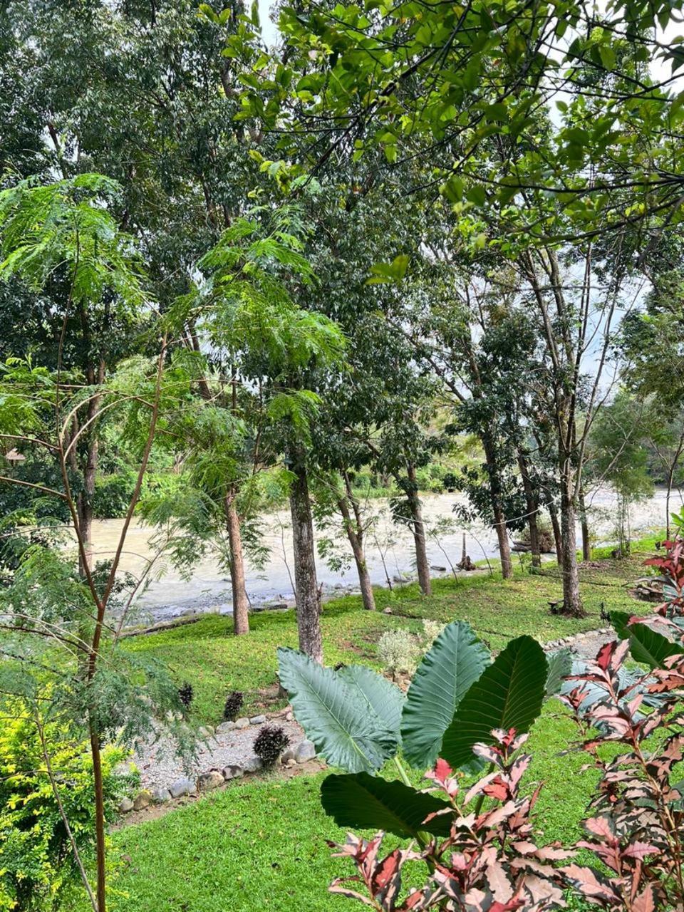 Wisma Batu Mandi Bukit Lawang Exterior photo
